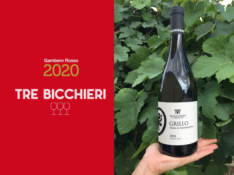 Sélection de vins italiens biologiques IGT, DOC et DOCG importés par Perladuva